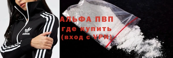 прущие грибы Майский