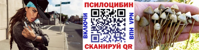 Псилоцибиновые грибы мухоморы  наркотики  Певек 